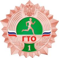 Всероссийский физкультурно-оздоровительный комплекс  