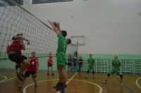 Товарищеская встреча по волейболу