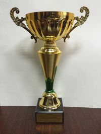 Мы &ndash; Чемпионы!